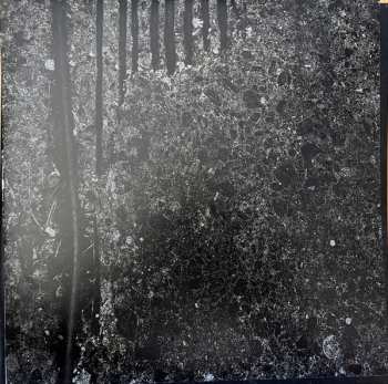 LP FJØRT: Belle Epoque CLR | LTD