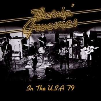 Album The Flamin' Groovies: In The U.S.A '79