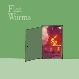 Flat Worms: 7-guest/circle