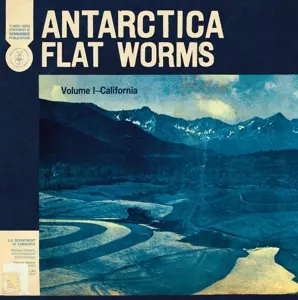 Flat Worms: Antarctica