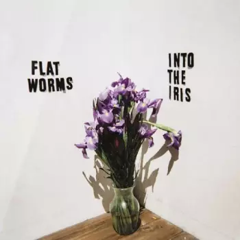 Flat Worms: Into The Iris