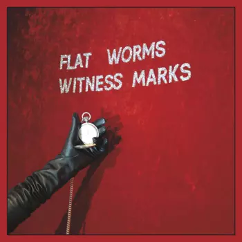 Flat Worms: Witness Marks