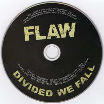 CD Flaw: Divided We Fall 419500