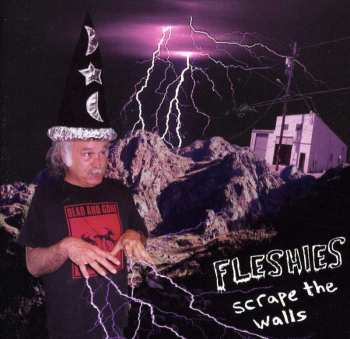 CD Fleshies: Scrape The Walls