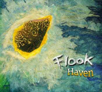 Album Flook: Haven