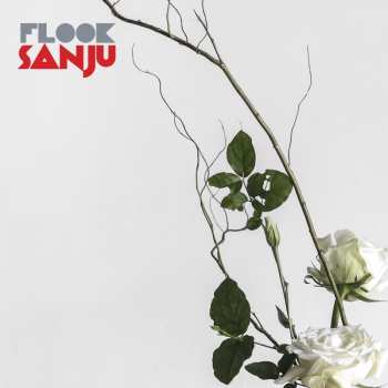 Album Flook: Sanju