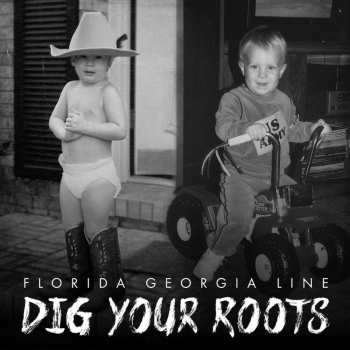 Album Florida Georgia Line: Dig Your Roots