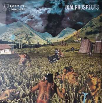 LP Flowers In Concrete: Split 84374