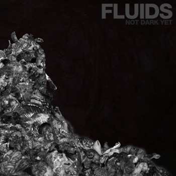 Album Fluids: Not Dark Yet