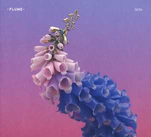 Album Flume: Skin