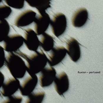Album Fluxion: Perfused
