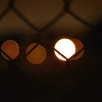 Album Fluxion: Vibrant Forms