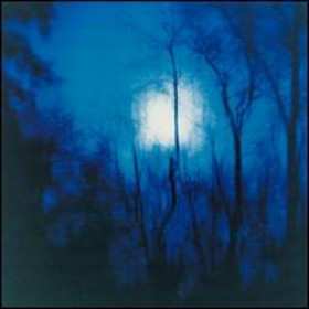 Album Flying Saucer Attack: Further