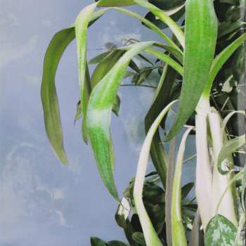 CD FM Belfast: Don't Want To Sleep