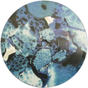 2LP Foals: Total Life Forever