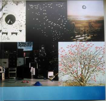 2LP Foals: Total Life Forever