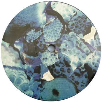 2LP Foals: Total Life Forever