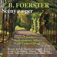 Album Various: Foerster: Scény z oper