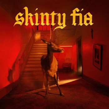 Album Fontaines D.C.: Skinty Fia