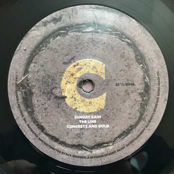 2LP Foo Fighters: Concrete And Gold 384490