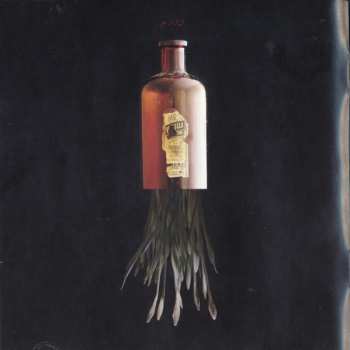 CD Foo Fighters: Echoes, Silence, Patience & Grace