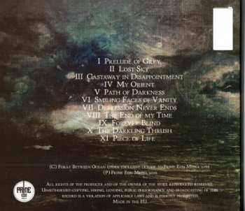 CD Foray Between Ocean: Depression Neverending 95419