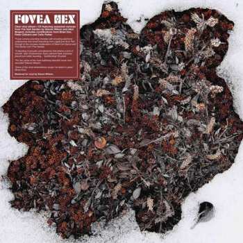 Album Fovea Hex: The Salt Garden (Landscaped)
