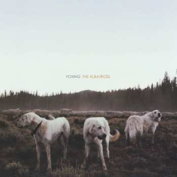 Album Foxing: The Albatross