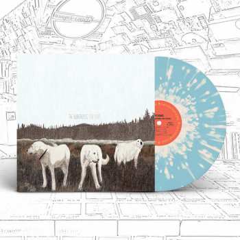LP Foxing: The Albatross: Ten Years CLR | LTD