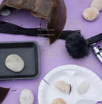 Fragile: That's Desire / Here We Are EP