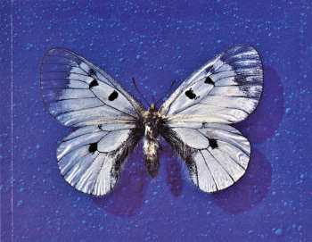 CD Francesco Guccini: Parnassius Guccinii