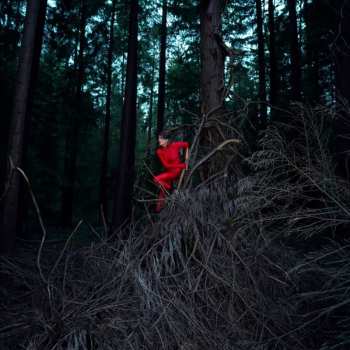 CD Françoiz Breut: Vif !