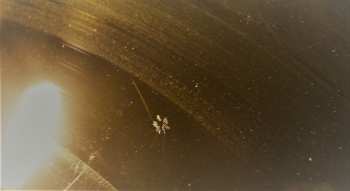 2LP Frank Zappa: Them Or Us