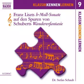 Die H-Moll-Sonate Von Liszt Auf Den Spuren Von Schuberts Wandererfantasie