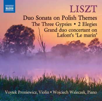 Album Franz Liszt: Duo Sonata On Polish Themes / The Three Gypsies / 2 Elegies / Grand Duo Concertant On Lafont's 'Le Marin'