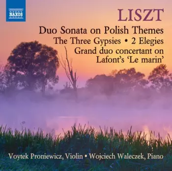 Duo Sonata On Polish Themes / The Three Gypsies / 2 Elegies / Grand Duo Concertant On Lafont's 'Le Marin'
