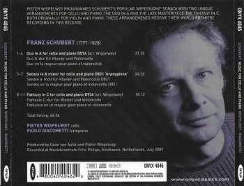 CD Franz Schubert: Fantasy In C - Duo In A Arpeggione Sonata 288719