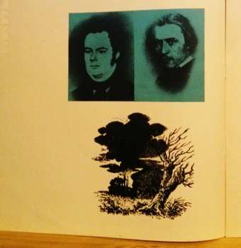 LP Franz Schubert, Hugo Wolf: Písně německých romantiků 276279