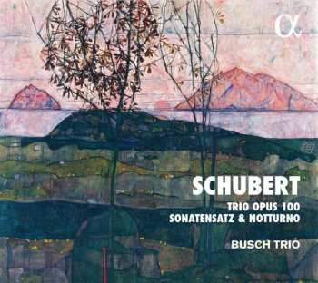 CD Franz Schubert: Trio Opus 100, Sonatensatz & Notturno 440436