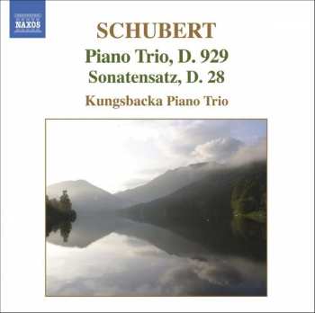 Album Franz Schubert: Piano Trio, D. 929 • Sonatensatz, D. 28