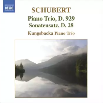 Piano Trio, D. 929 • Sonatensatz, D. 28