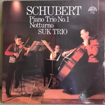 Franz Schubert: Piano Trio No. 1 / Notturno