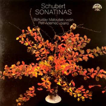 Album Franz Schubert: Sonatinas For Violin and Piano, Op. 137 (Sonatiny Pro Housle A Klavír)