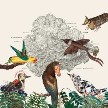 Album Friendly Rich: Birds Of Marsville