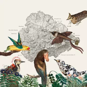 Friendly Rich: The Birds of Marsville