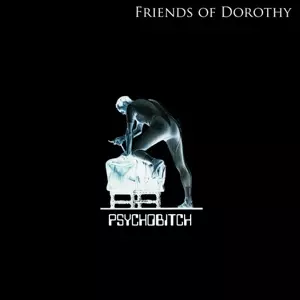 Friends Of Dorothy: 7-psychobitch