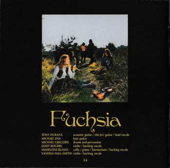 CD Fuchsia: Fuchsia 155053