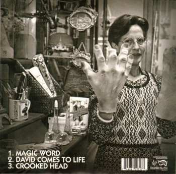 SP Fucked Up: Daytrotter LTD