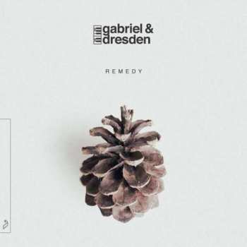 Album Gabriel & Dresden: Remedy