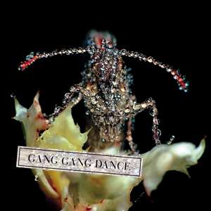 Album Gang Gang Dance: Eye Contact